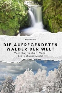 Die aufregendsten Wälder der Welt - Weber, Anna