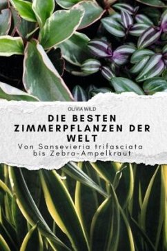 Cover Die besten Zimmerpflanzen der Welt