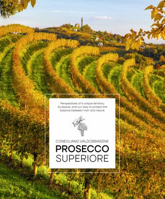 Prosecco Superiore Prosecco Superiore