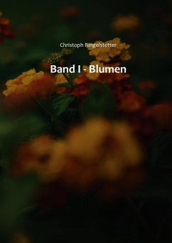 Band I Band I