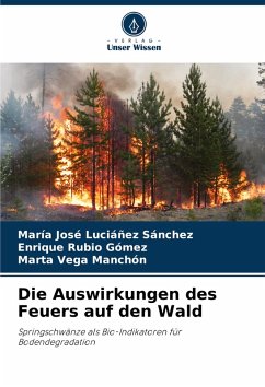Cover Die Auswirkungen des Feuers auf den Wald