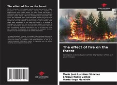 Cover The effect of fire on the forest
