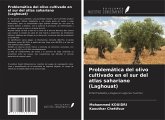 Problemática del olivo cultivado en el sur del atlas sahariano (Laghouat) Problemática del olivo cultivado en el sur del atlas sahariano (Laghouat)