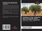 Problems of the cultivated olive tree south of the Saharan Atlas (Laghouat)