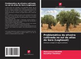 Problemática da oliveira cultivada no sul do atlas do Sara (Laghouat) Problemática da oliveira cultivada no sul do atlas do Sara (Laghouat)