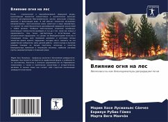 Cover Vliqnie ognq na les