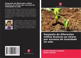 Resposta de diferentes milhos brancos ao stress por excesso de humidade no solo