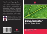 Deteção de ortólogos e parálogos utilizando a árvore filogenética Deteção de ortólogos e parálogos utilizando a árvore filogenética