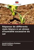 Réponse de différents maïs blancs à un stress d'humidité excessive du sol