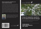 Presas de pequeños mamíferos en el macizo forestal de Edough