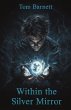 Within the Silver Mirror - Bild 1