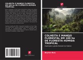 COLHEITA E MANEJO FLORESTAL EM 100 ha DE FLORESTA HÚMIDA TROPICAL