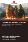 L'effet du feu sur la forêt L'effet du feu sur la forêt