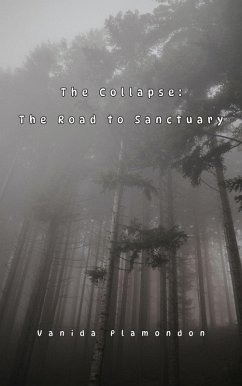 Cover The Collapse: The Road to Sanctuary (eBook, ePUB)