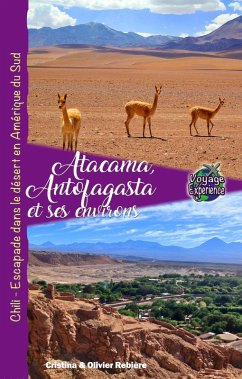 Cover Atacama, Antofagasta et les Environs (Voyage Experience) (eBook, ePUB)