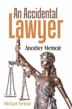 Cover An Accidental Lawyer (eBook, ePUB)