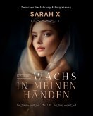 Du bist Wachs in meinen Händen Teil 3 (eBook, ePUB)