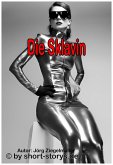 Die Sklavin 1 (eBook, ePUB)