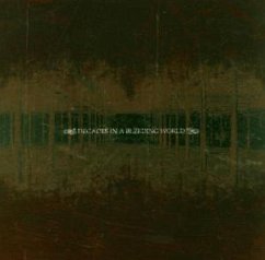 Cover Decades In A Bleeding World