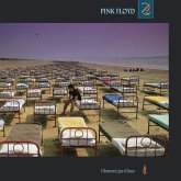 A Momentary Lapse Of Reason A Momentary Lapse Of Reason