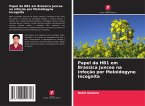 Papel da HB1 em Brassica Juncea na infeção por Meloidogyne Incognita Papel da HB1 em Brassica Juncea na infeção por Meloidogyne Incognita