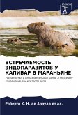 VSTREChAEMOST' JeNDOPARAZITOV U KAPIBAR V MARAN'YaNE