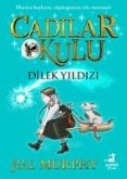 Cadilar Okulu 7 - Dilek Yildizi Cadilar Okulu 7 - Dilek Yildizi
