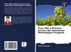 Rol' HB1 w Brassica Juncea pri zarazhenii Meloidogyne Incognita