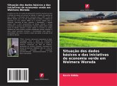 Situação dos dados básicos e das iniciativas de economia verde em Welmera Woreda