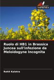 Ruolo di HB1 in Brassica Juncea sull'infezione da Meloidogyne Incognita