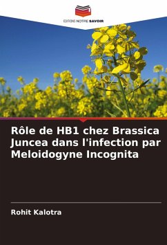 Rôle de HB1 chez Brassica Juncea dans l'infection par Meloidogyne Incognita - Kalotra, Rohit