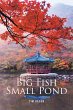 Big Fish Small Pond (eBook, ePUB) - Bild 1