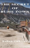 Secret of Bume Town (eBook, ePUB)