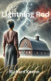 Lightning Rod (eBook, ePUB)