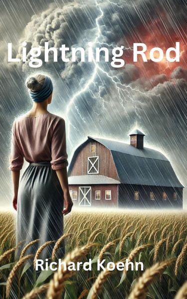 Lightning Rod (eBook, ePUB) Lightning Rod (eBook, ePUB)