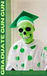 Graduate Gun Gun (eBook, ePUB) - Bild 1