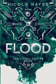 Flood Flood