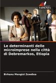 Le determinanti delle microimprese nella città di Debremarkos, Etiopia
