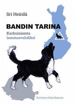 Bandin tarina - Heinilä, Iiri