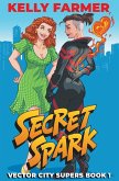 Secret Spark Secret Spark
