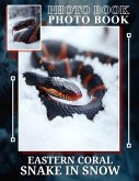 Eastern Coral Snake In Snow Photo Book