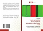 Étude de l'activité catalytique des phosphates sous micro-ondes