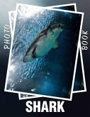 Shark Photo Book Shark Photo Book