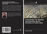 Comprender los detalles estructurales de las escamas en Catla catla