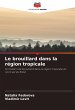 Le brouillard dans la région tropicale - Bild 1