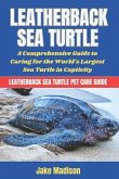 Leatherback Sea Turtle