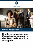 Die Determinanten von Kleinstunternehmen in der Stadt Debremarkos, Äthiopien