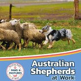 Australian Shepherds at Work