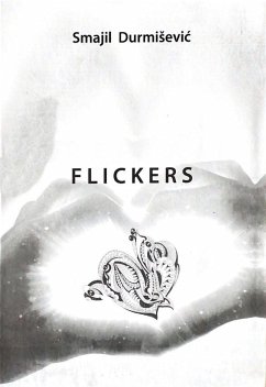 Cover Flickers (eBook, ePUB)