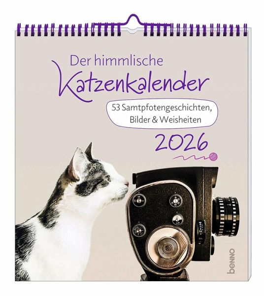 Der himmlische Katzenkalender 2026